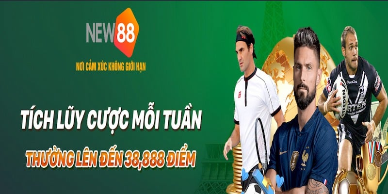 NEW88 sở hữu giấy phép xịn